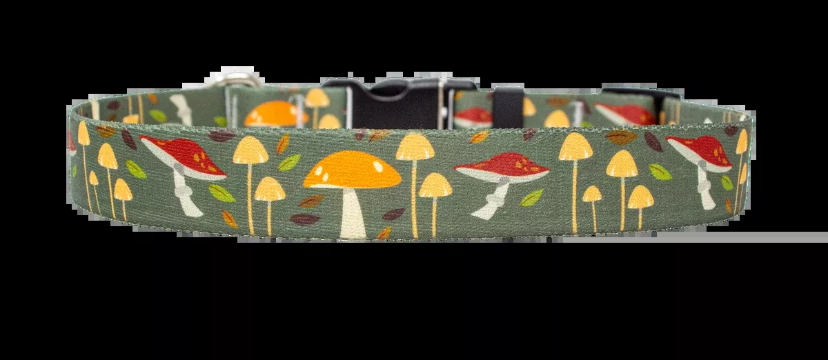Forest Floor Dog Collar