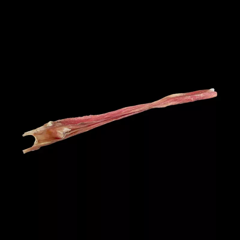 FursBee Stick