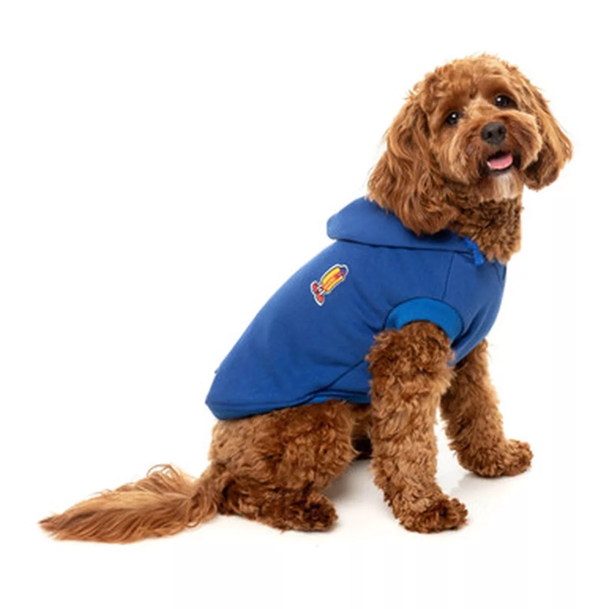 FuzzYard Blue Homies Hoodie