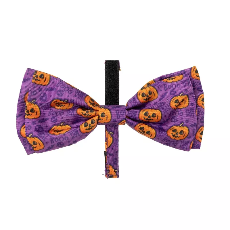 FuzzYard Bowtie - Jackie Lantern Purple
