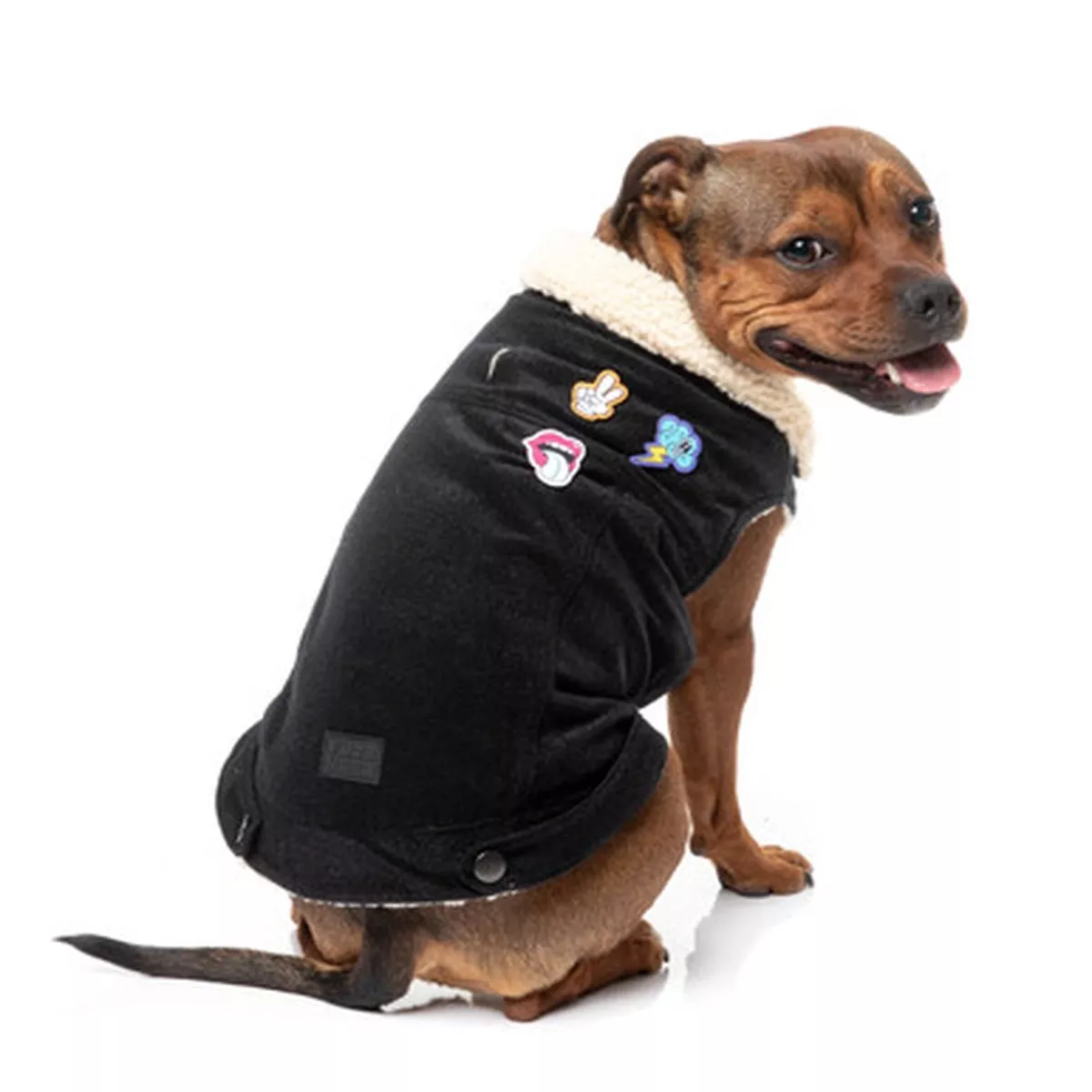 FuzzYard REP IT - Clubhouse Dog Jacket