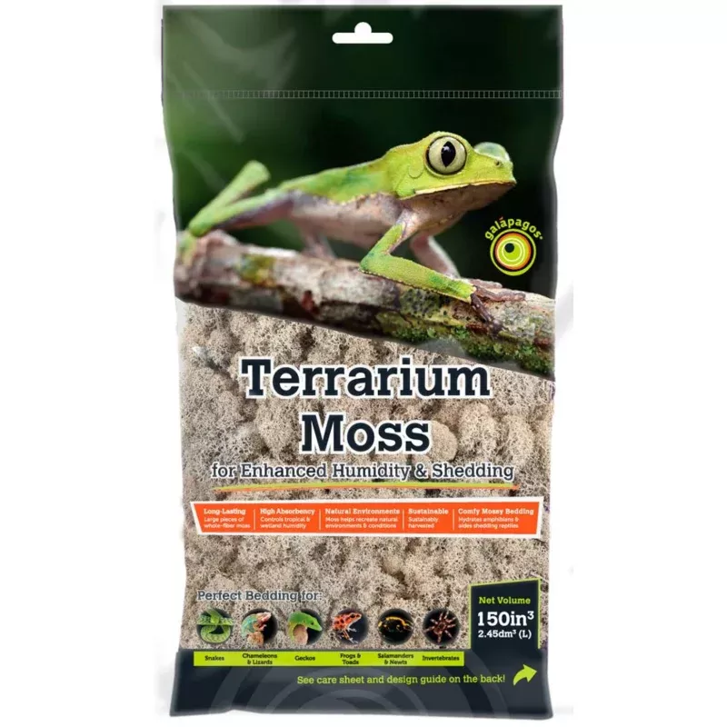 Galapagos Natural Reindeer Moss Bedding Substrate