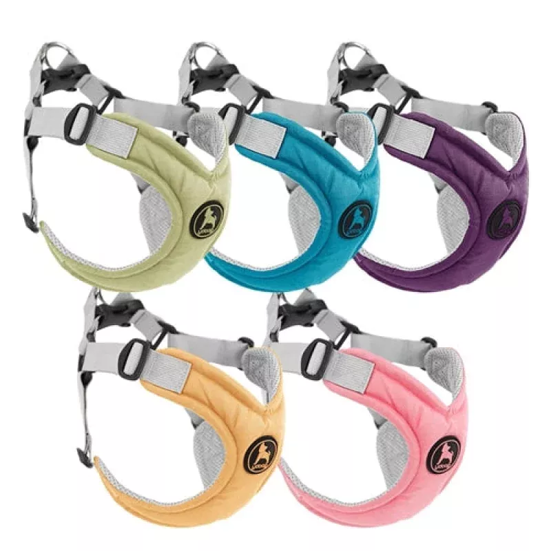 Gooby Memory Foam Step-in Small Dog Harness Turquoise