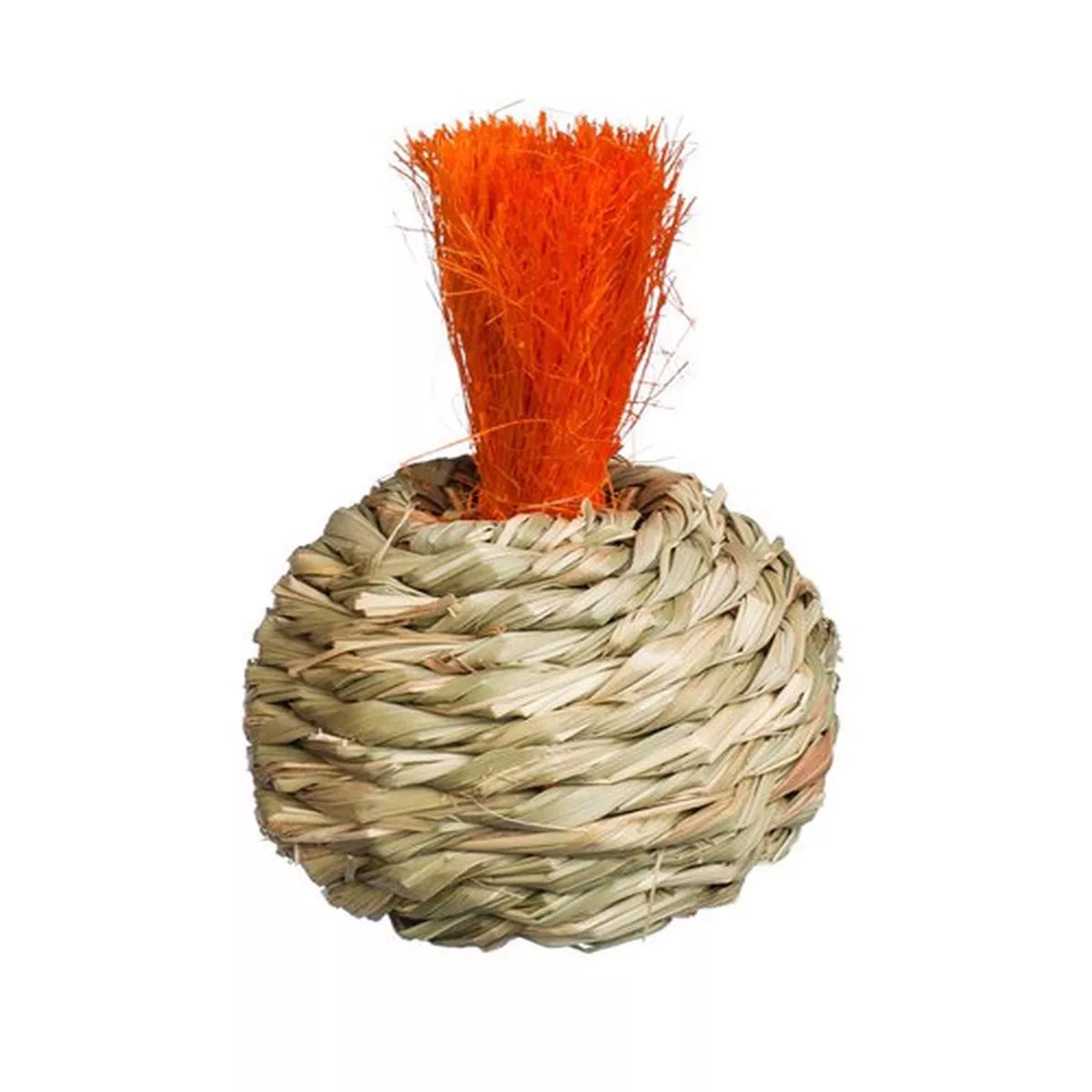 Grassy Nibblers Squash Chew Toy