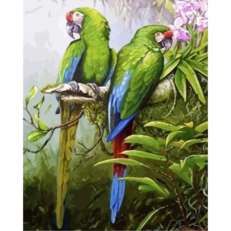 Green Parrots – Transform Your Backyard into a Wildlife Oasis for All Creatures