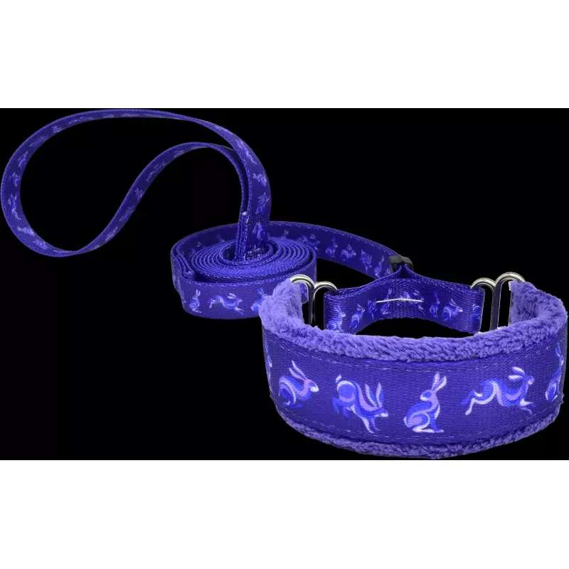Groovy Rabbits Everyday Martingale Walking Lead