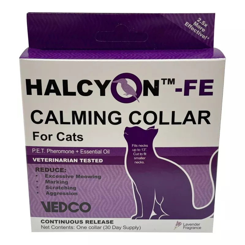 Halcyon FE Calming Collar for Cats Purple