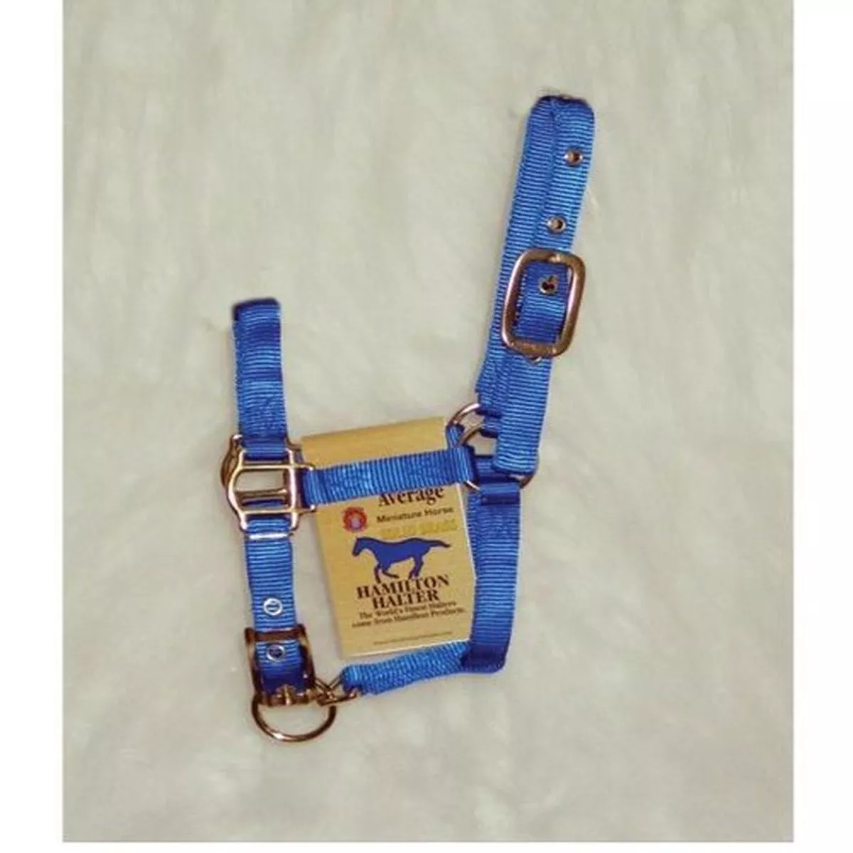Hamilton Halter Adjustable Miniature Horse Halter, Blue