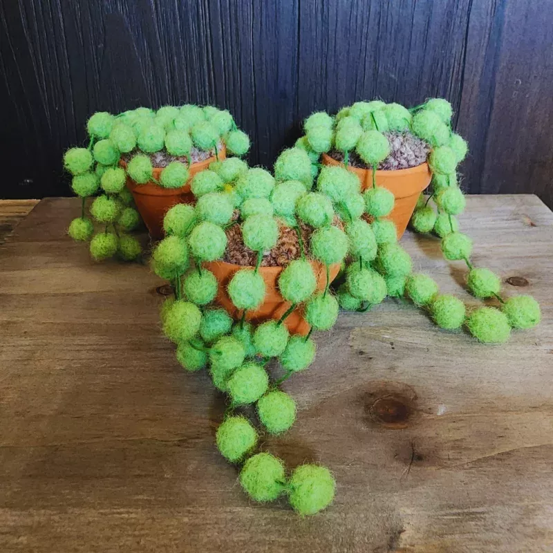 Handmade Potted Wool String of Pearls Succulent