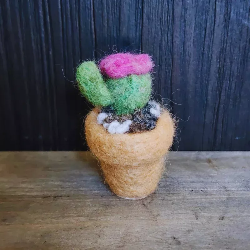 Handmade Wool Flowering Cactus Decor, No Thorns Pink