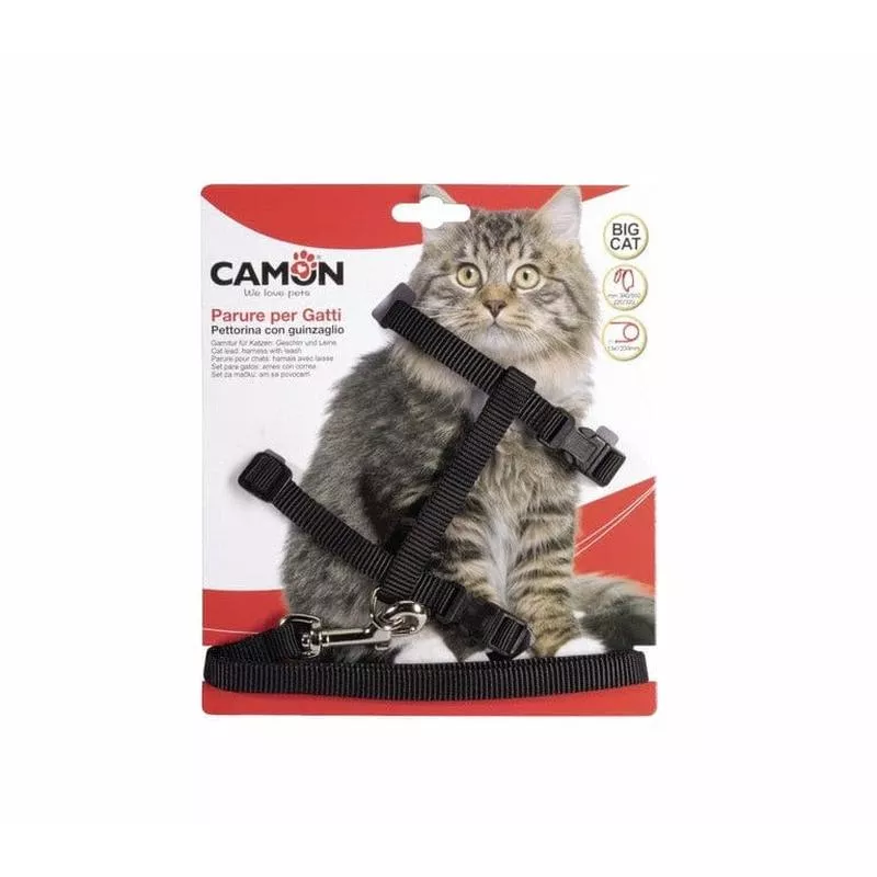 Harness And Leash Big Cats