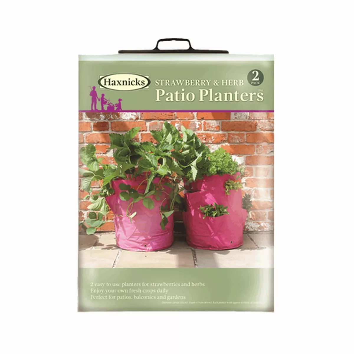 Haxnicks Strawberry/Herb Patio Plants, 2 Pack