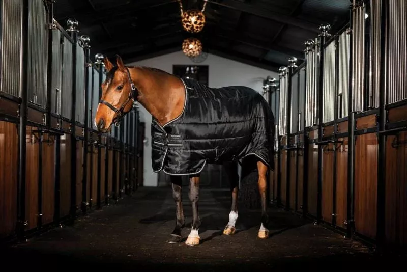 Horseware Easy-Layer Stable Blanket 100g