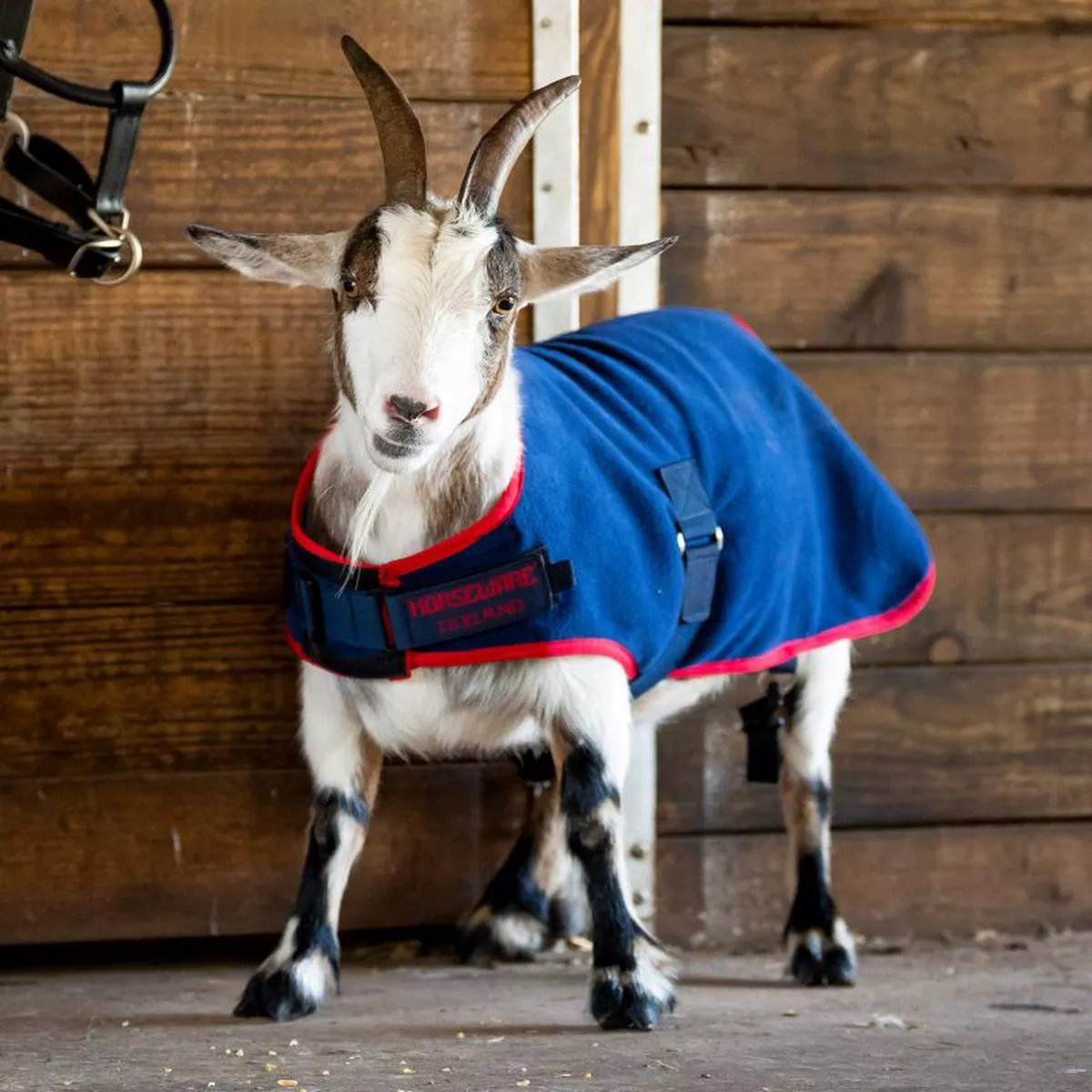 Horseware Goat Fleece