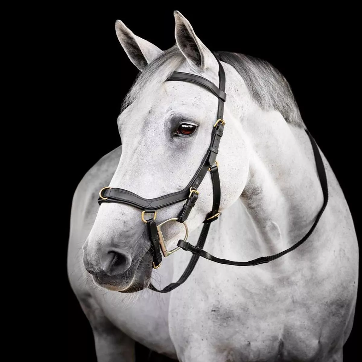 Horseware Micklem Multi Bridle – Black | Pony”