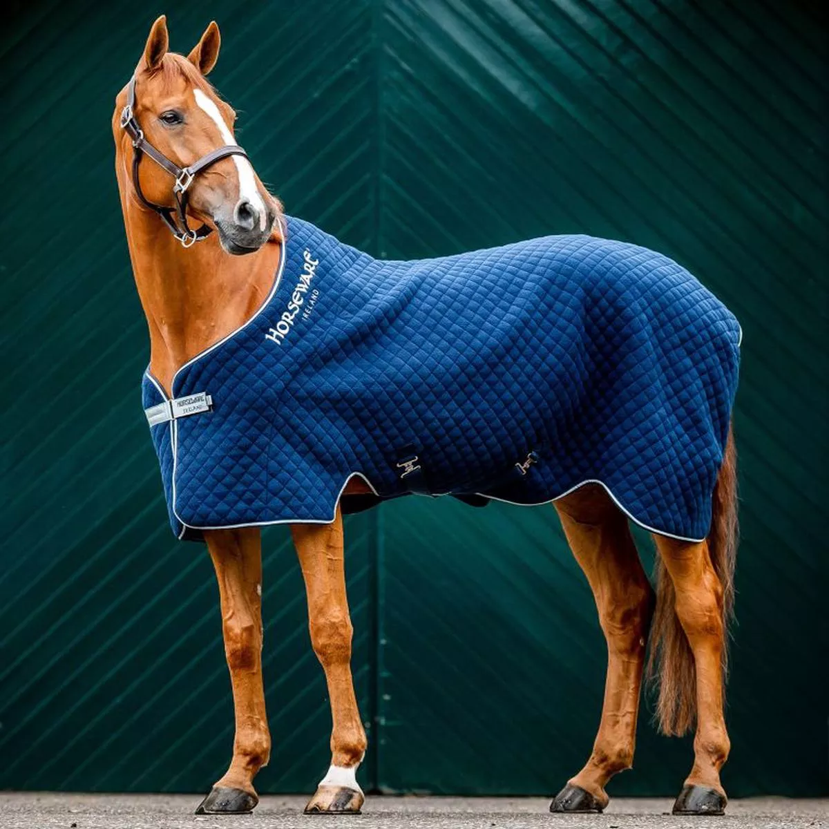 Horseware Thermal Cooler – Navy/Navy & Silver | 69″