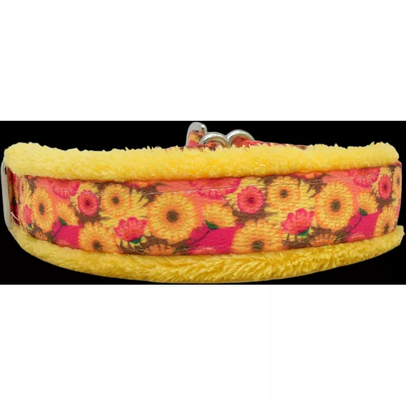 Hothouse Flowers Everyday Limited Slip Collar