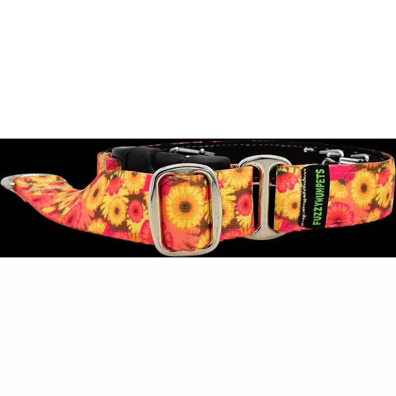 Hothouse Flowers Everyday Private Trainer