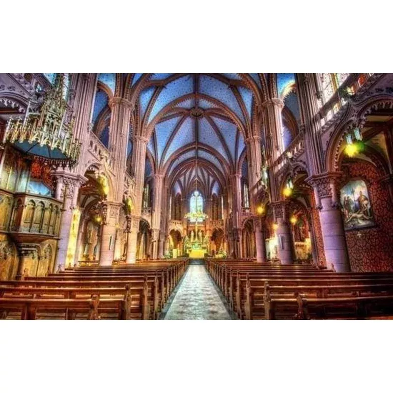 Inside Notre Dame – Transform Your Backyard into a Wildlife Oasis for All Creatures