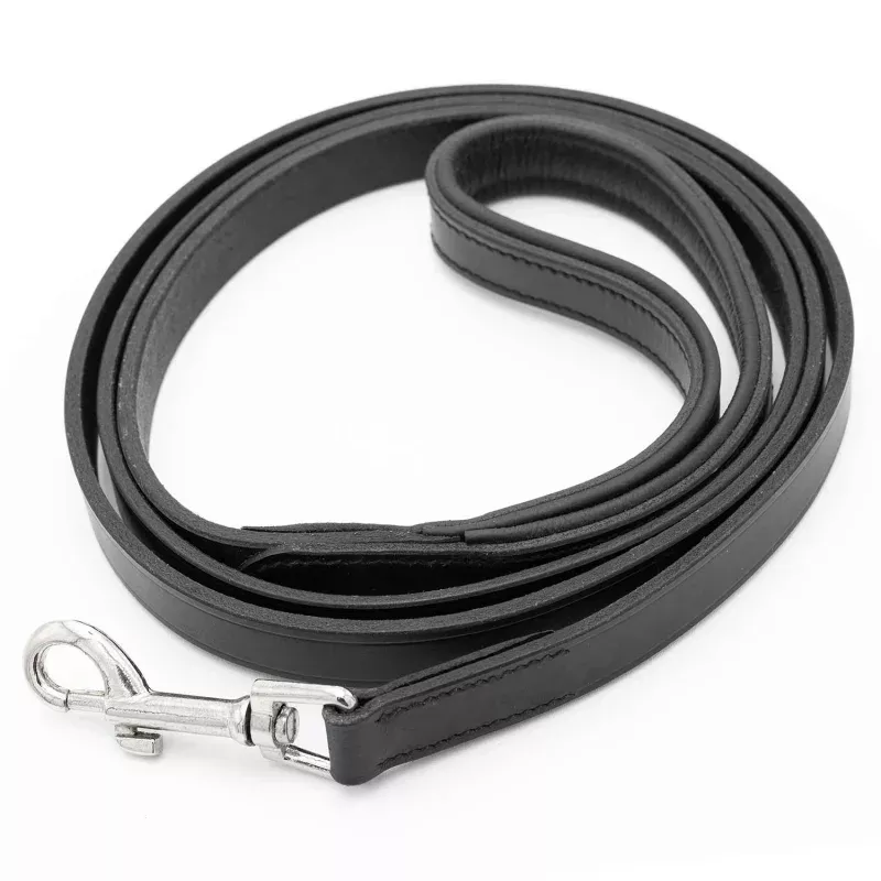 Jeffers Black Padded Leather Pet Leash Black