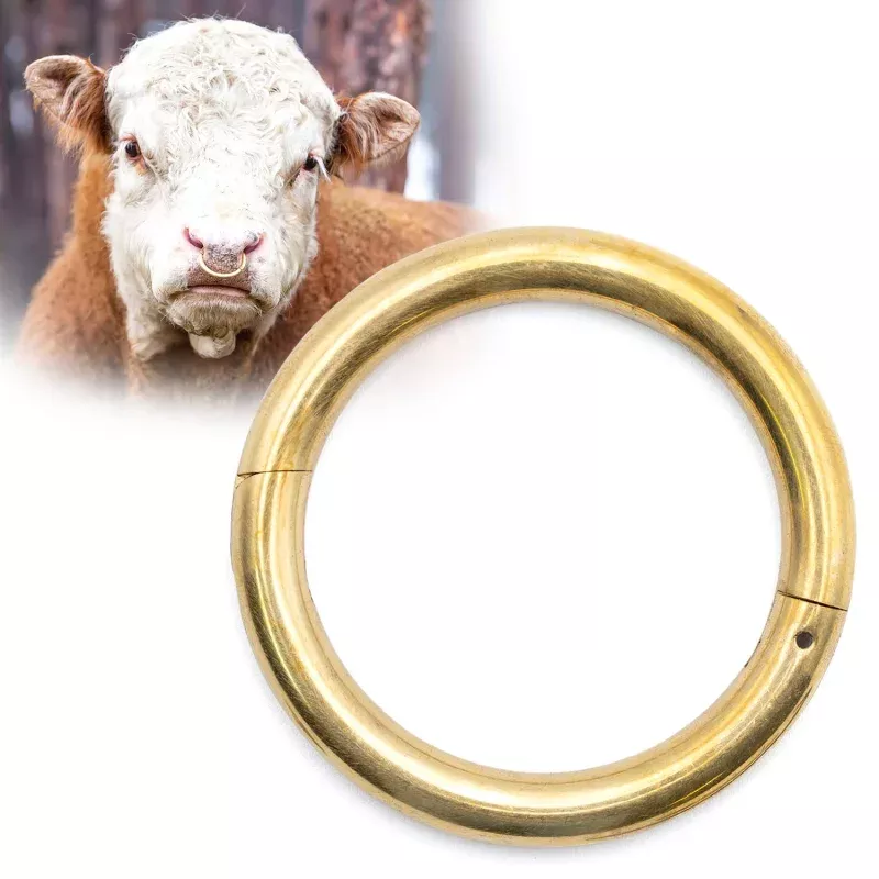 Jeffers Bull Ring with Screws