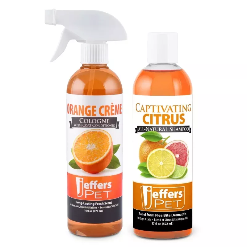 Jeffers Dreamy Oranges Pet Shampoo & Cologne, 2 Piece Kit