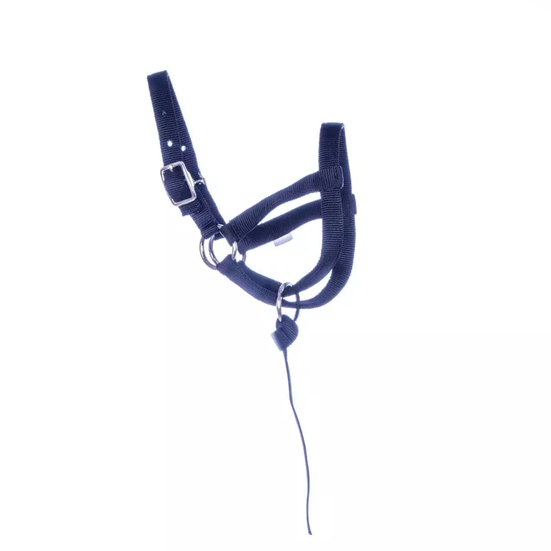 Jeffers Nylon Llama Halter with Catch Strap Red