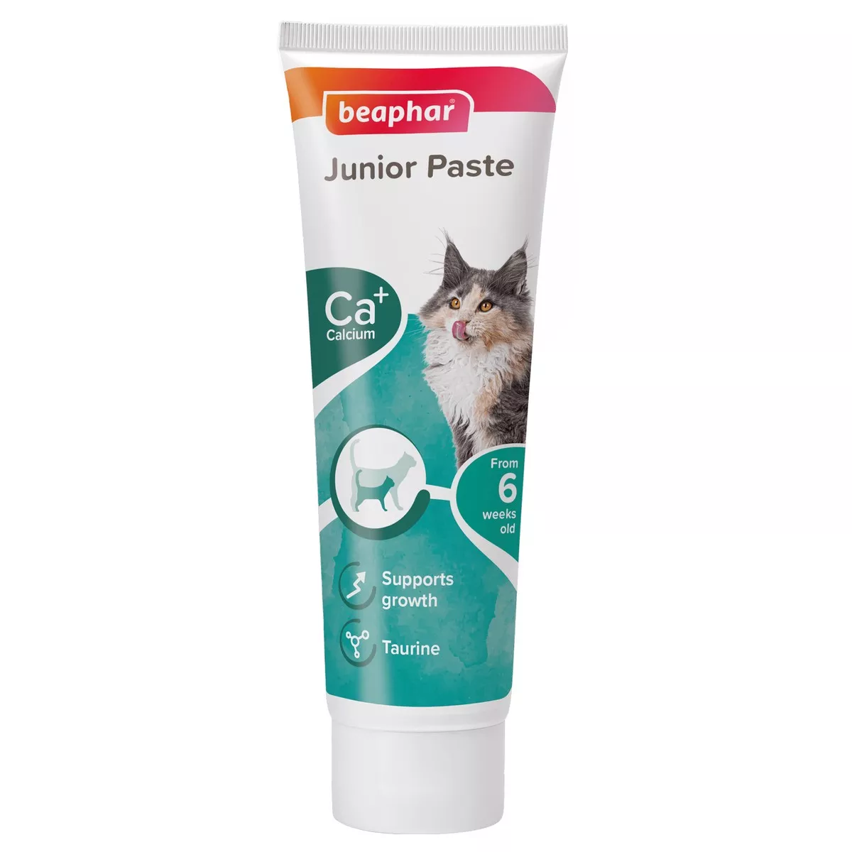 Junior Paste - Cat / 100 g