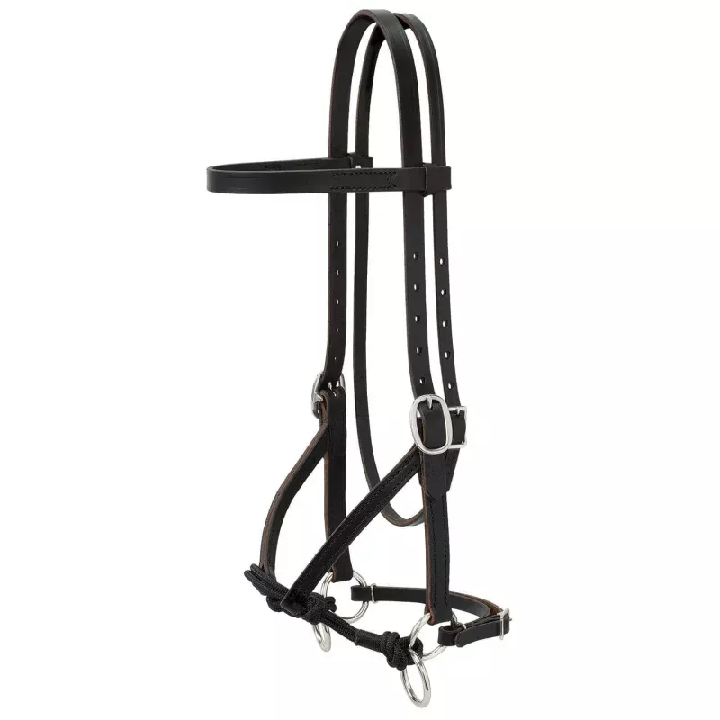 Justin Dunn Bitless Bridle Black