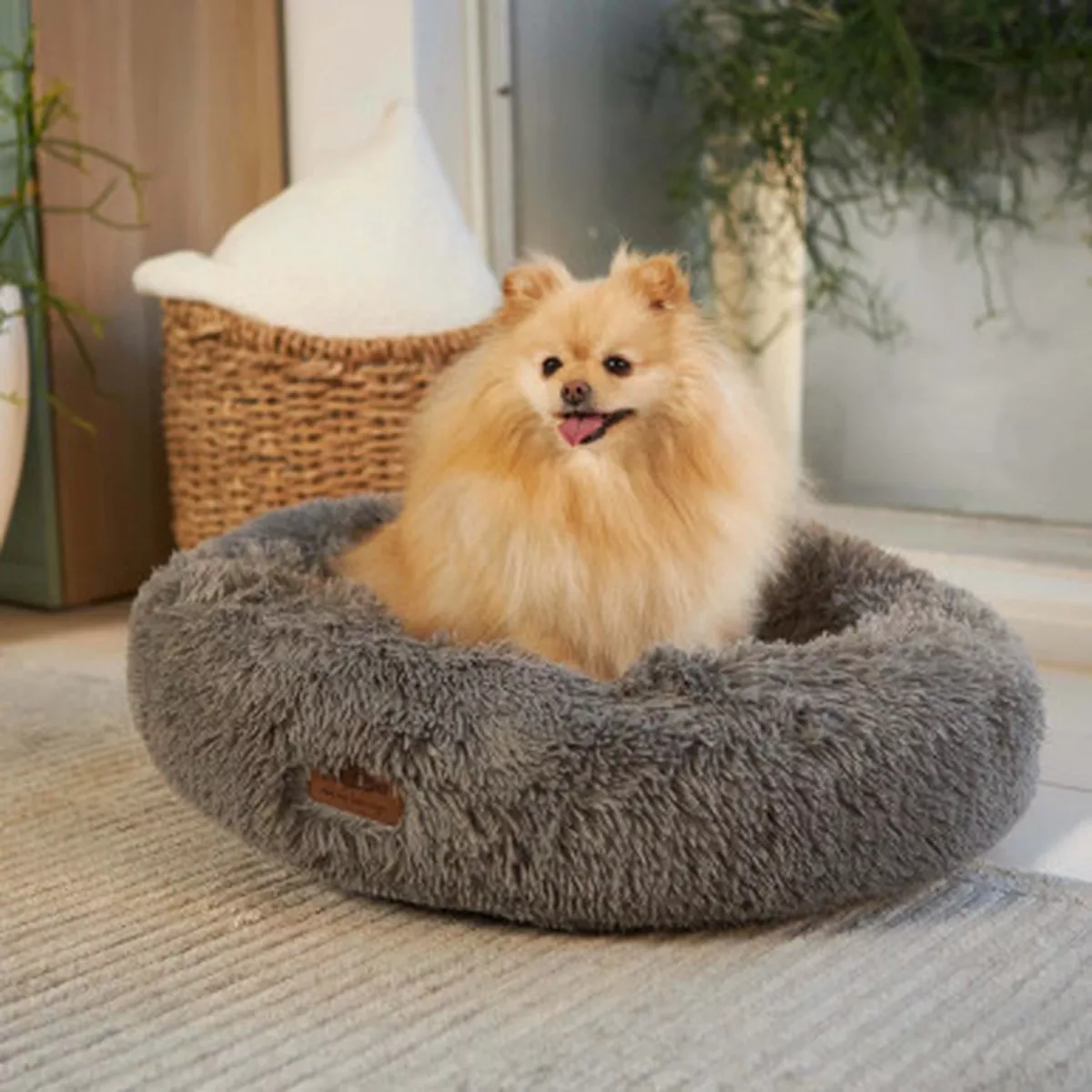 Kazoo Peacock Calming Dog & Cat Bed Mud