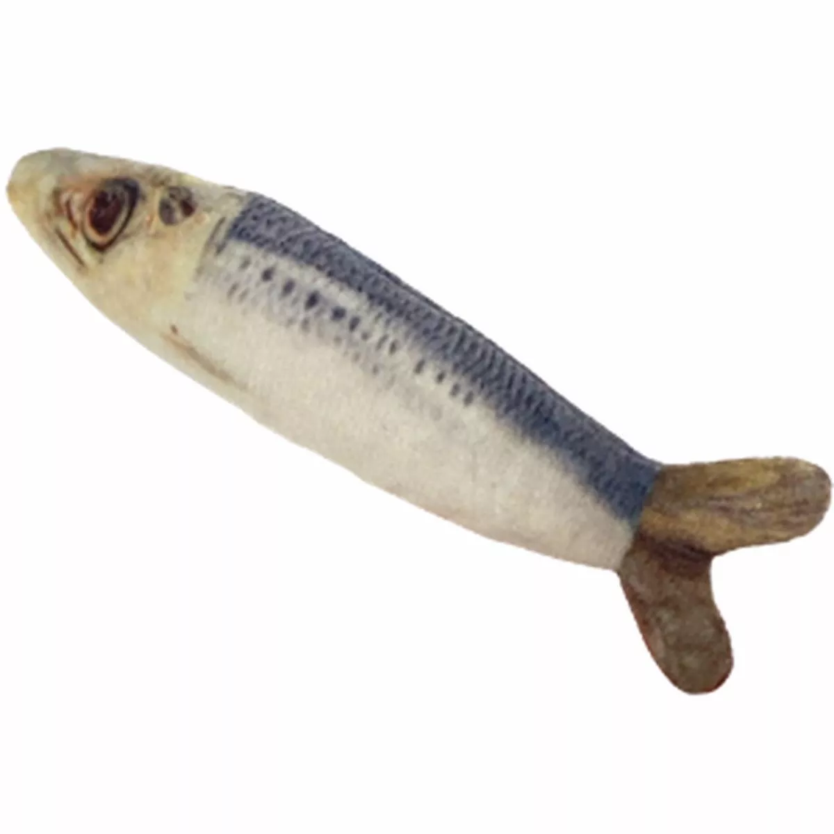 Kittybelles Sardine Plush Cat Toy