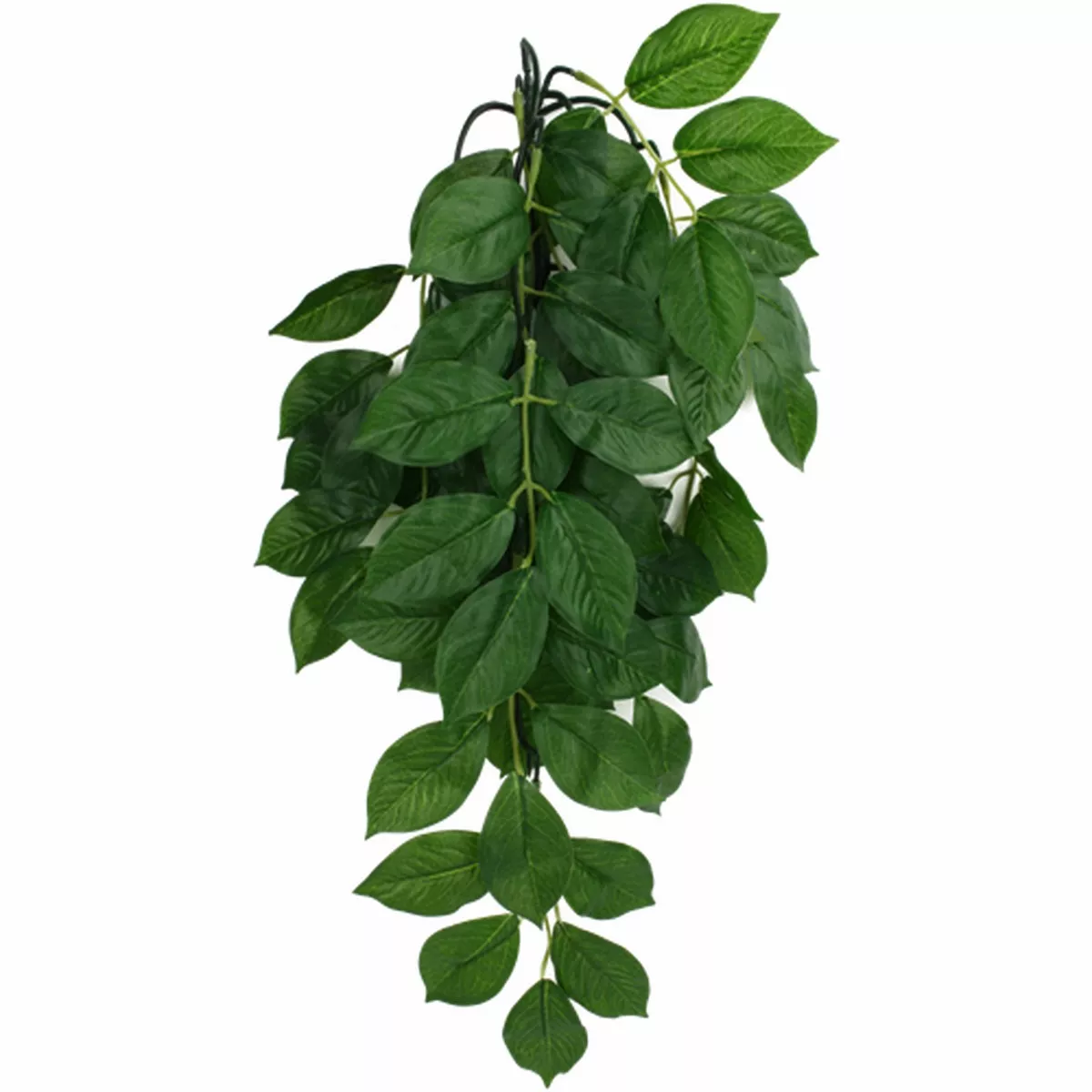 Komodo Climbing Green Leaf Aquarium Plant