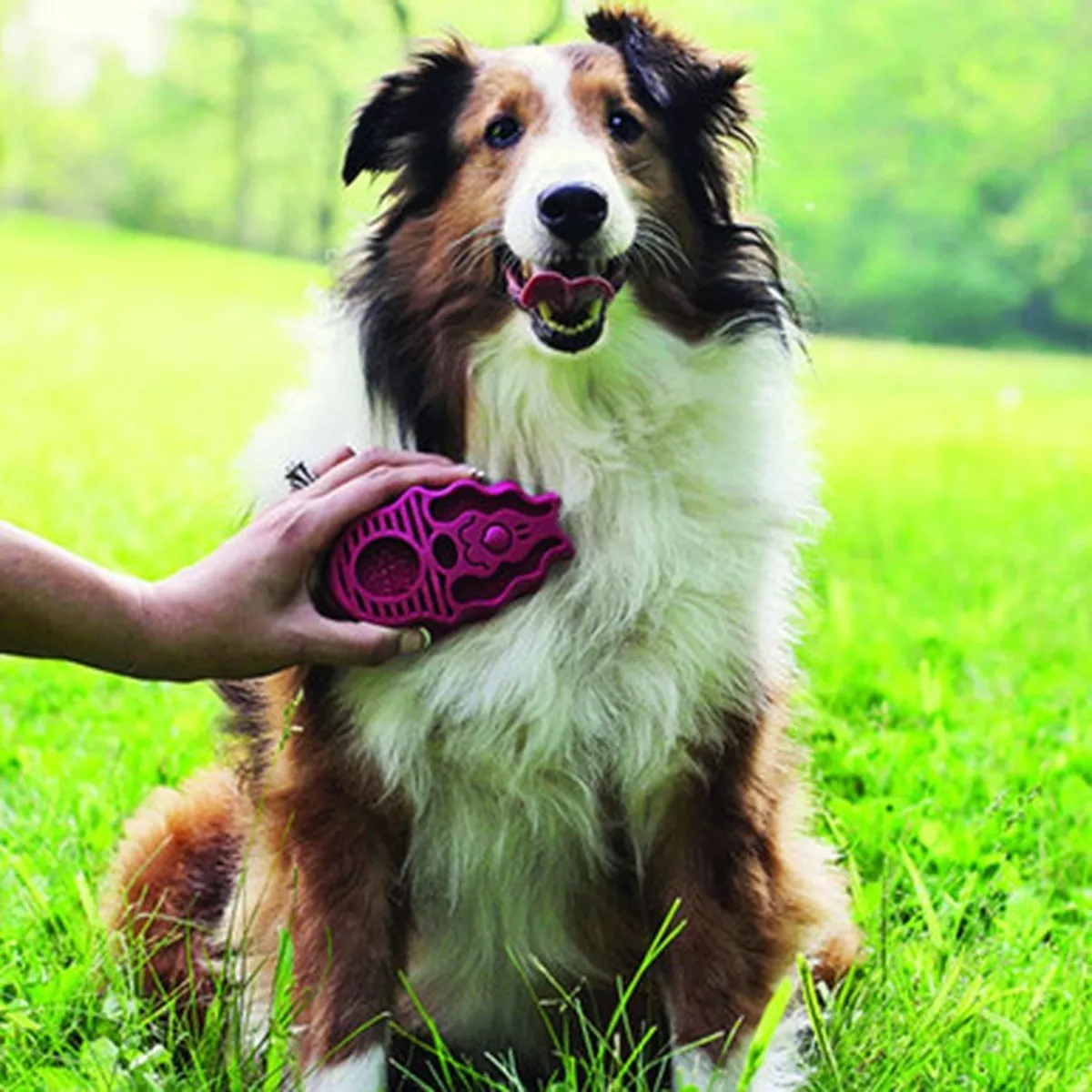 KONG ZoomGroom Boysenberry Brush