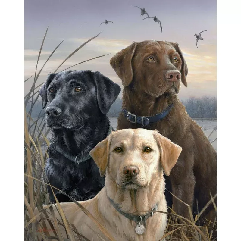 Labrador Trio – Transform Your Backyard into a Wildlife Oasis for All Creatures