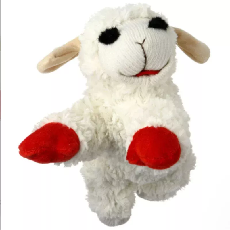 Lamb Chop