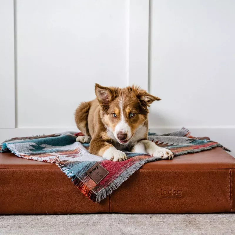 Le Dog Bed Grey