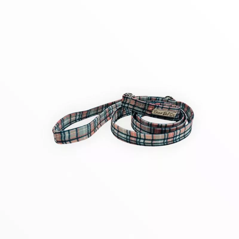 Leash Plaid Paws 25Mm125CmSilver
