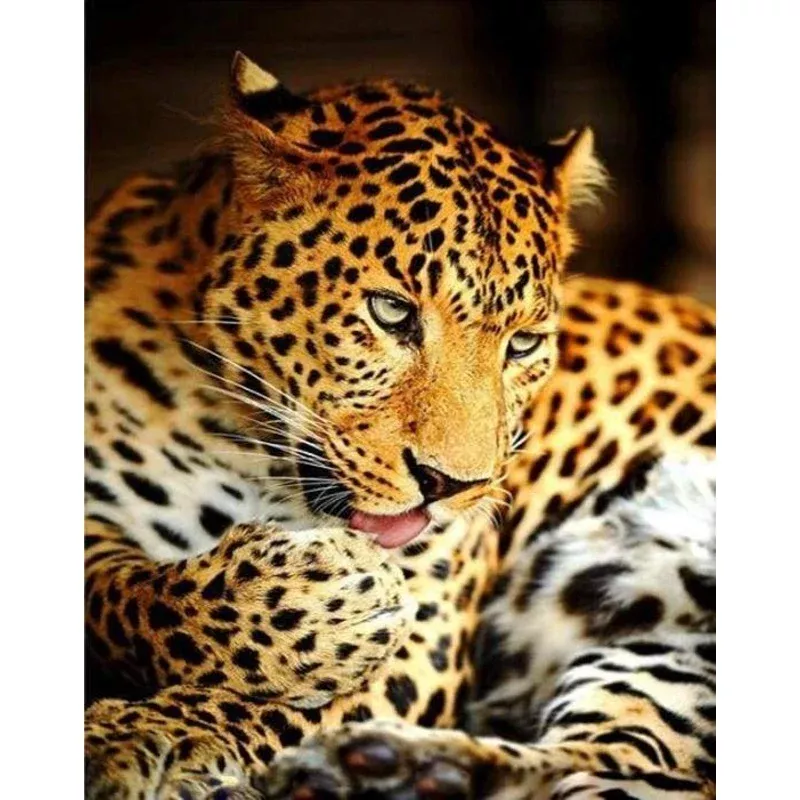 Leopard – Transform Your Backyard into a Wildlife Oasis for All Creatures