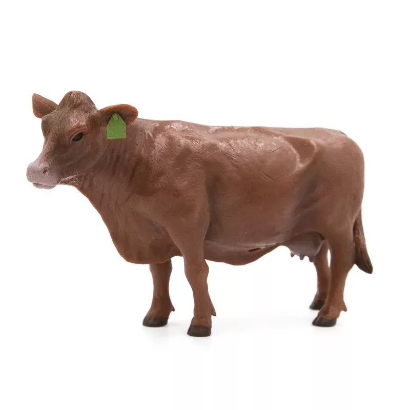 Little Buster Angus Cow Red