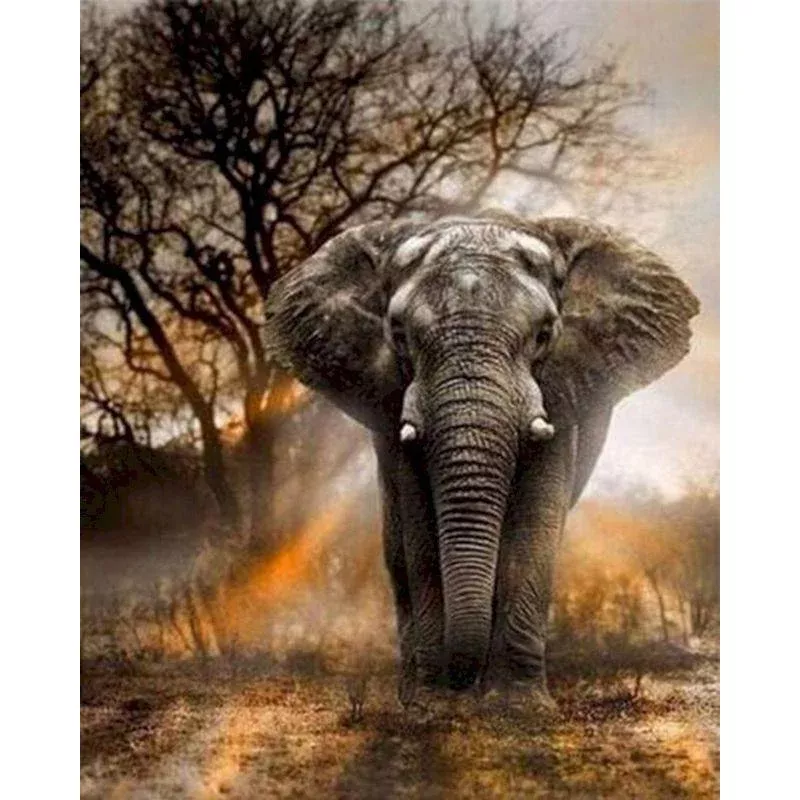 Lonely Elephant – Transform Your Backyard into a Wildlife Oasis for All Creatures