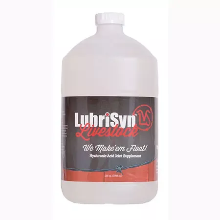 LUBRISYN HA, GALLON W/ PUMP