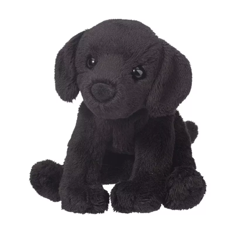 Lucy the Black Lab