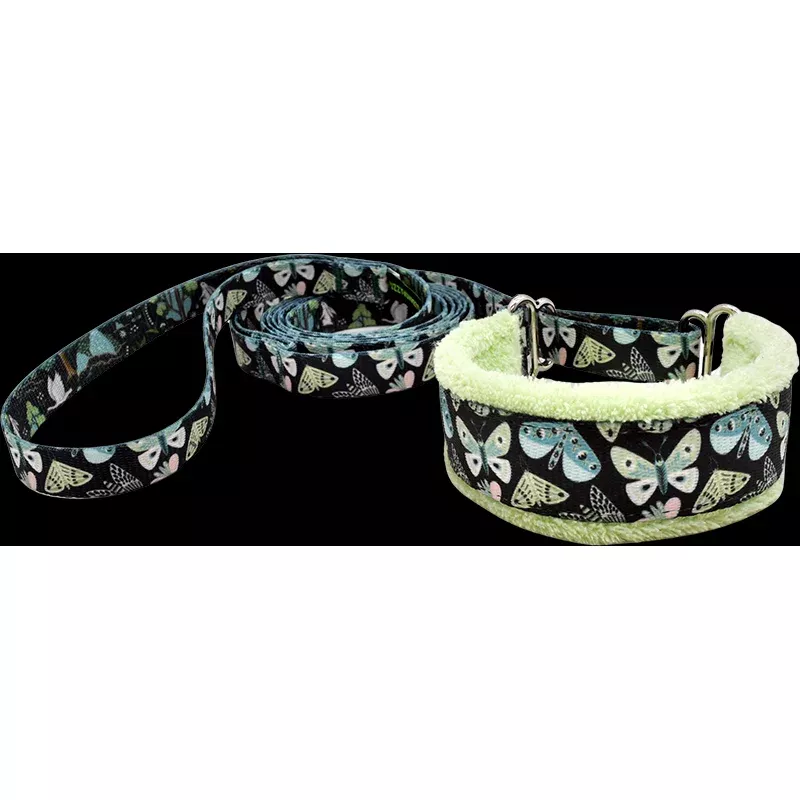 Luna Everyday Martingale Walking Lead