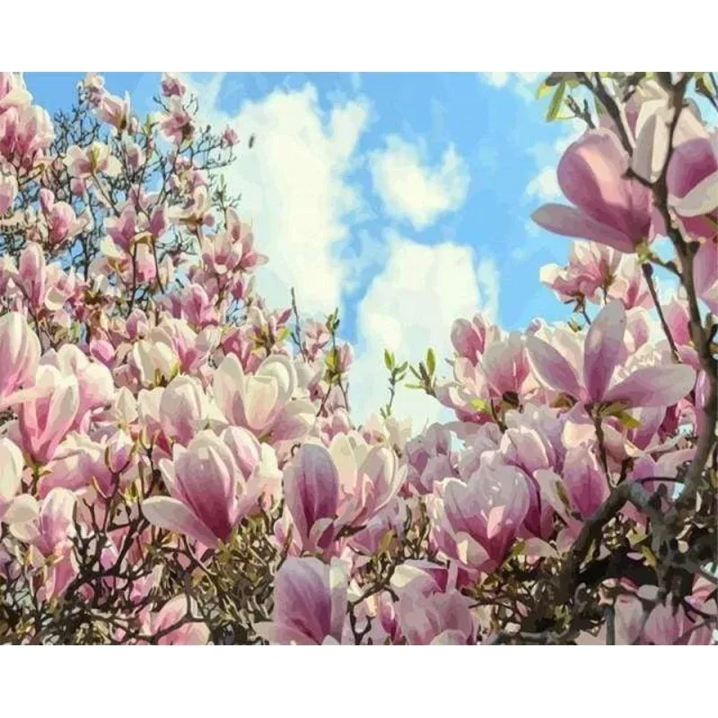 Magnolias – Transform Your Backyard into a Wildlife Oasis for All Creatures