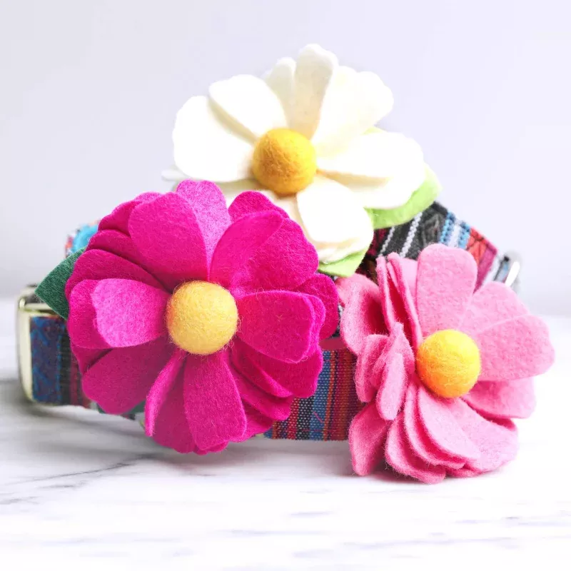 Mimi Green Collar Daisy Red