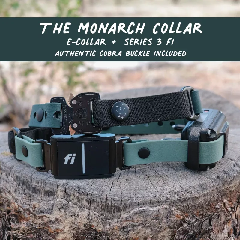 The Monarch Collar