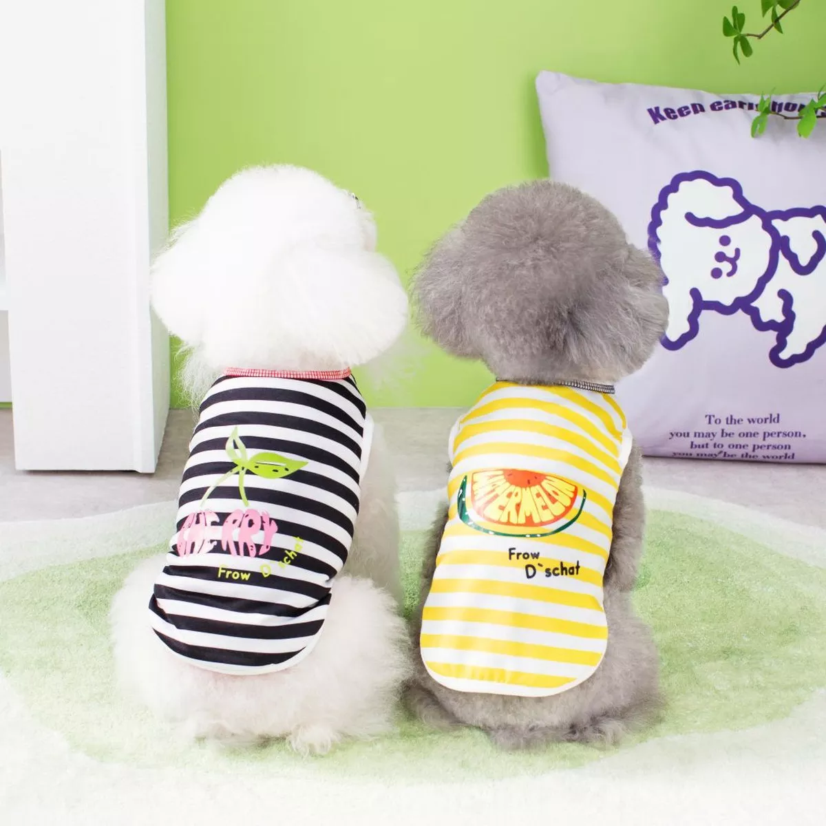 Monochrome Pet Clothes Black