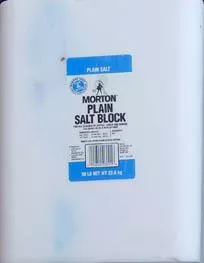 Morton, Salt Block, Plain, 50 lbs.