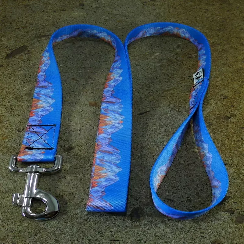 MTN Straps Wasatch Front Dog Leash 6′