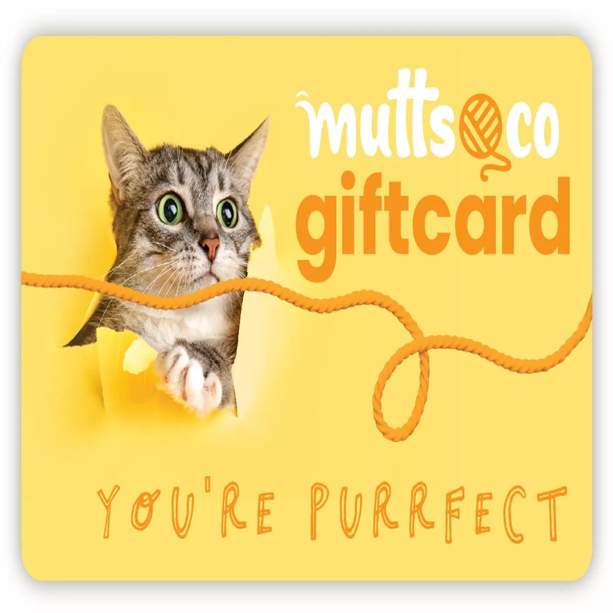 Mutts & Co. Cats eGift Card